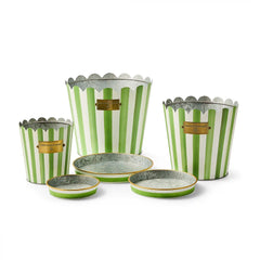 Rosy Stripe Pots & Saucers, Set of 3