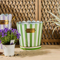 Violet Stripe Pots & Saucers, Set of 3