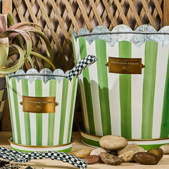 Courtly Stripe Pots & Saucers, Set of 3